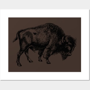 American Buffalo Posters and Art